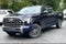 2022 Toyota Tundra 4WD Platinum